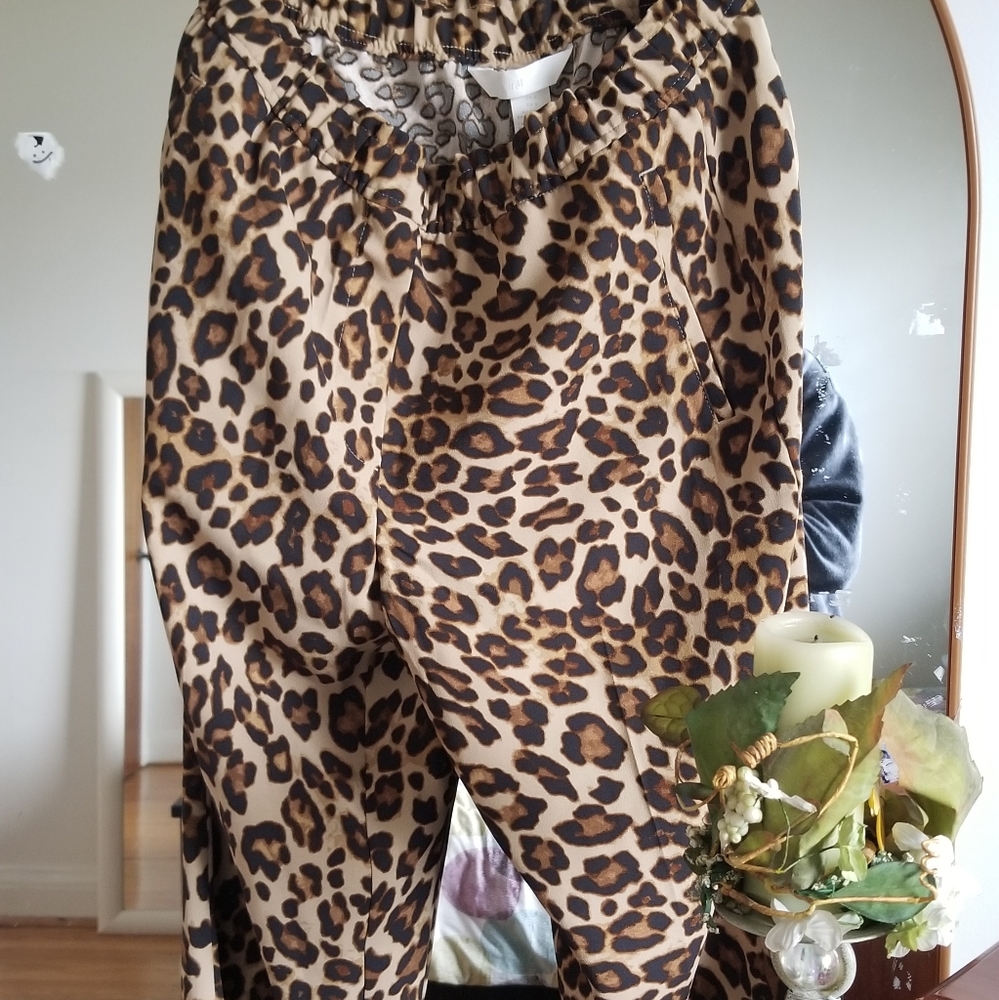 Pant - Picture 6 of 7